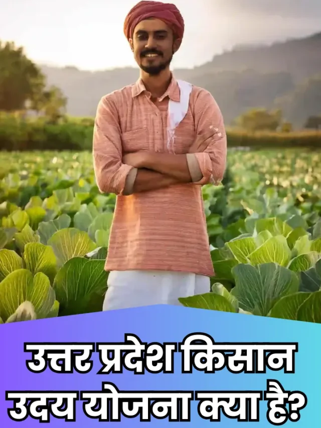 UP Kisan Uday Yojana 2024: यूपी सरकार किसानों को Free दे रही है सोलर पम्प, ऐसे करें आवेदन